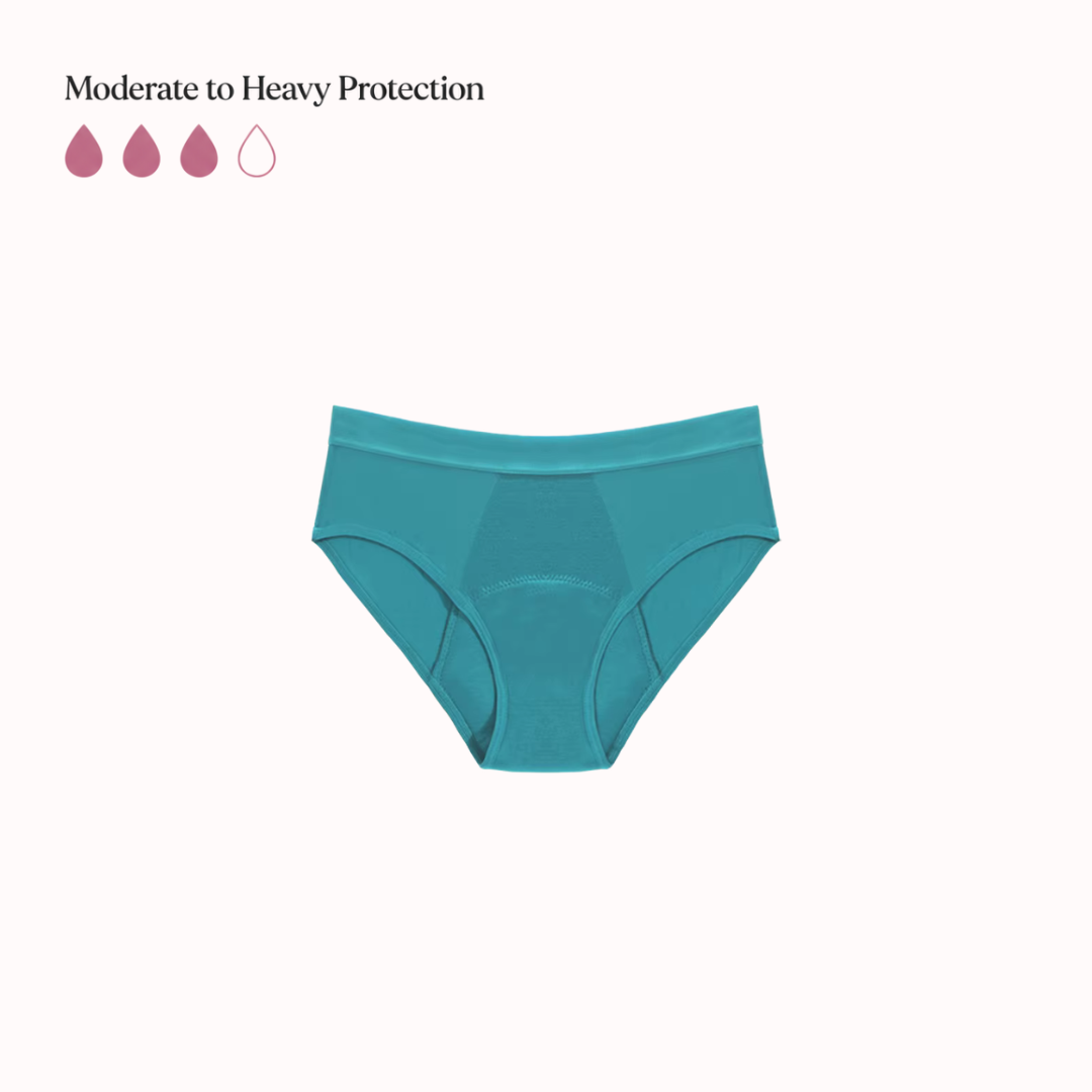 Rosa’s Leakproof Bamboo Brief